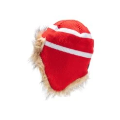 Gongshow Hockey Benchwarmer Toque -Top Hockey gongshow toques gongshow hockey benchwarmer toque canada osfa 29693119135810